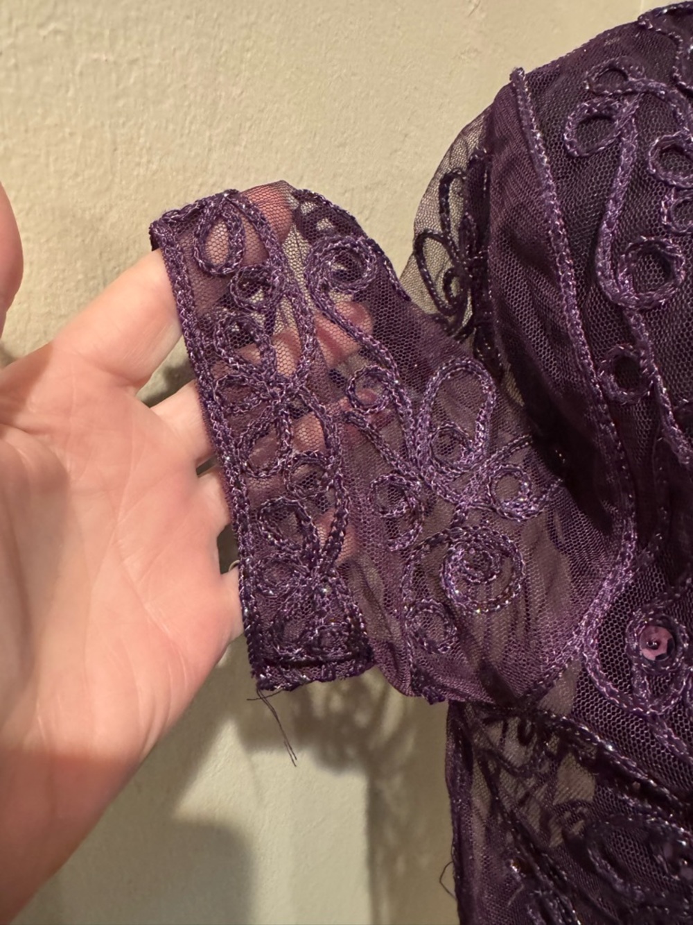 Plum Embroidered Beaded Mesh Bolero with Beadwork, Silver Threading and Sequins - Picture 5 of 8